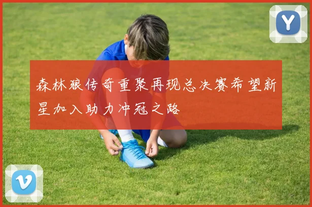 森林狼传奇重聚再现总决赛希望新星加入助力冲冠之路