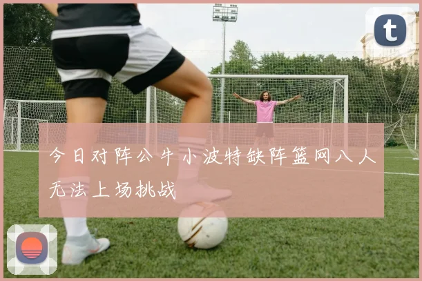 今日对阵公牛小波特缺阵篮网八人无法上场挑战