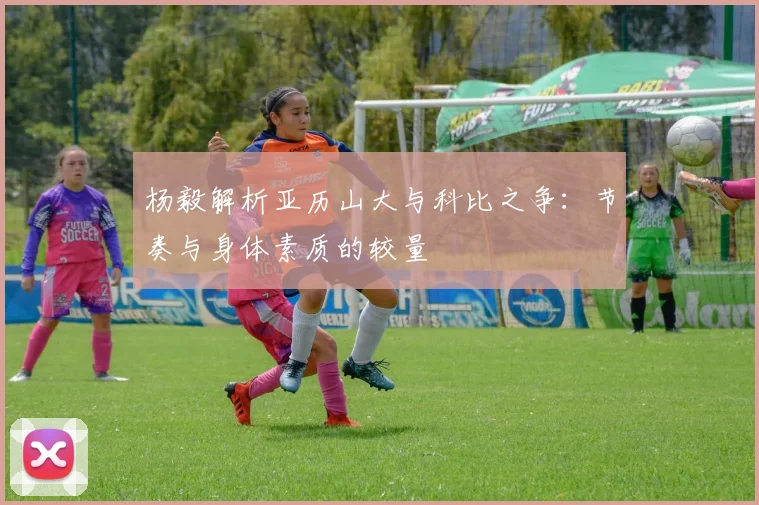 杨毅解析亚历山大与科比之争：节奏与身体素质的较量